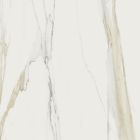 Marble Calacatta gold b Matte