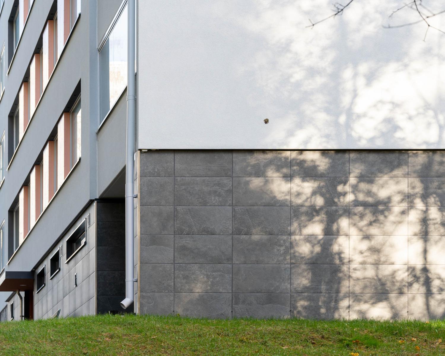 Reference image